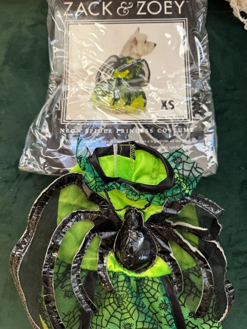 Neon Spider Princess Dog Halloween Costume Size XS